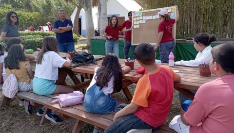 horts urbans de Felanitx